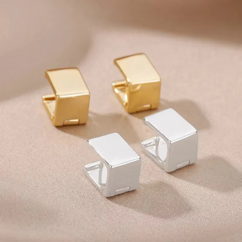 Women's Fashionable All-match Geometric Three-dimensional Earrings