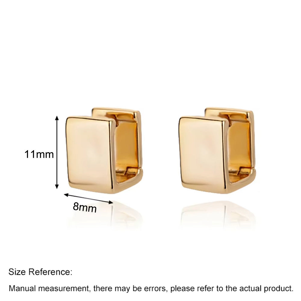 Women's Fashionable All-match Geometric Three-dimensional Earrings